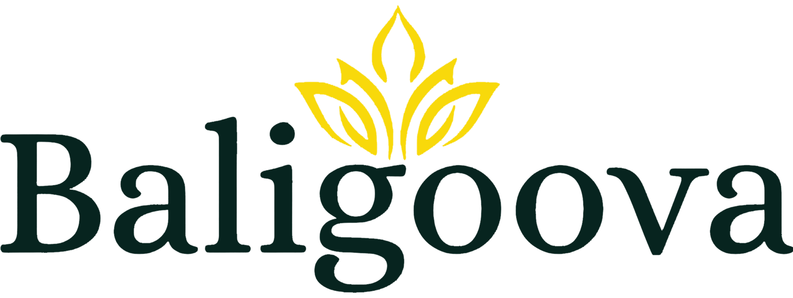 Baligoova Tours
